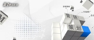 中国网络营销发展现状与市场营销策划趋势