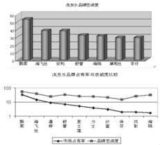 飘影洗发水营销策划案themarketingplanofpuyenshampoo 吴德望 第5页 市场营销 品牌策划 市场营销 管理文库